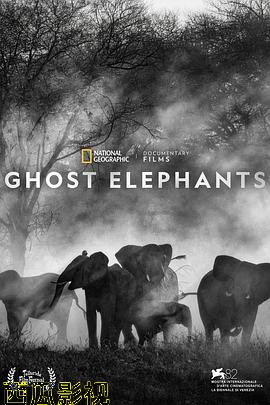 追寻幽灵大象