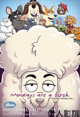 宠宝话疗团第一季