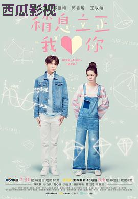 稍息立正我爱你