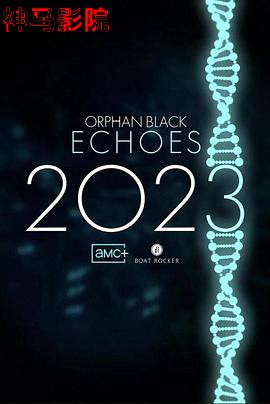 黑色孤儿：回响