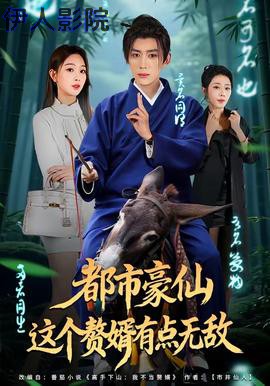 都市豪仙，这个赘婿有点无敌